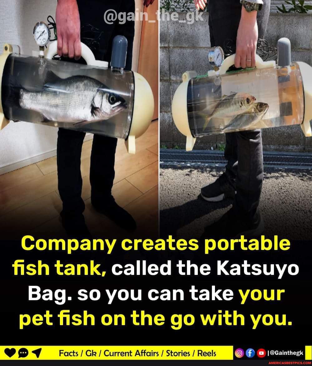 Company creates portable fish tank, called the Katsuyo Bag. so you can take  your pet fish on the go with you. - America's best pics and videos