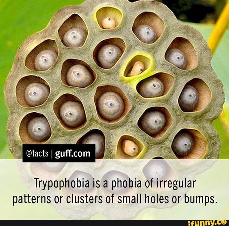List 91+ Pictures Fear Of Small Holes Grouped Together Latest