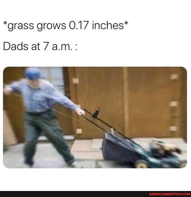 *grass grows 0.17 inches*
Dads at 7 a.m.: