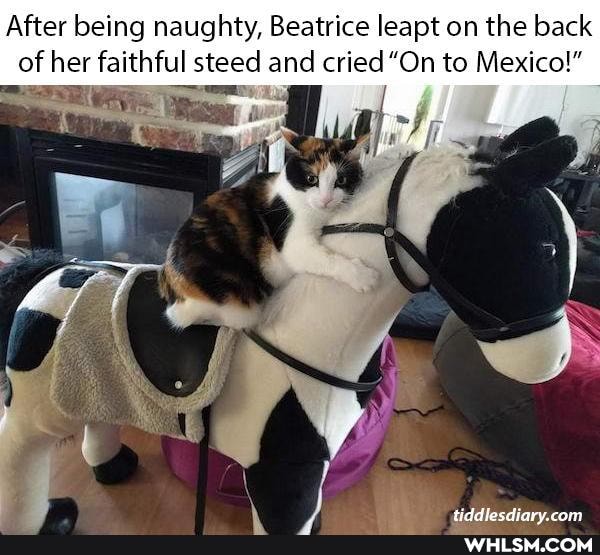 After being naughty, Beatrice leapt on the back of her faithful steed and cried "On to Mexico!"