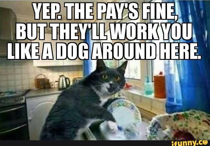VEP. THE PAY'S FINE,
BUT THEY'LL LWOR LIKE A DOG AROUND pFBE