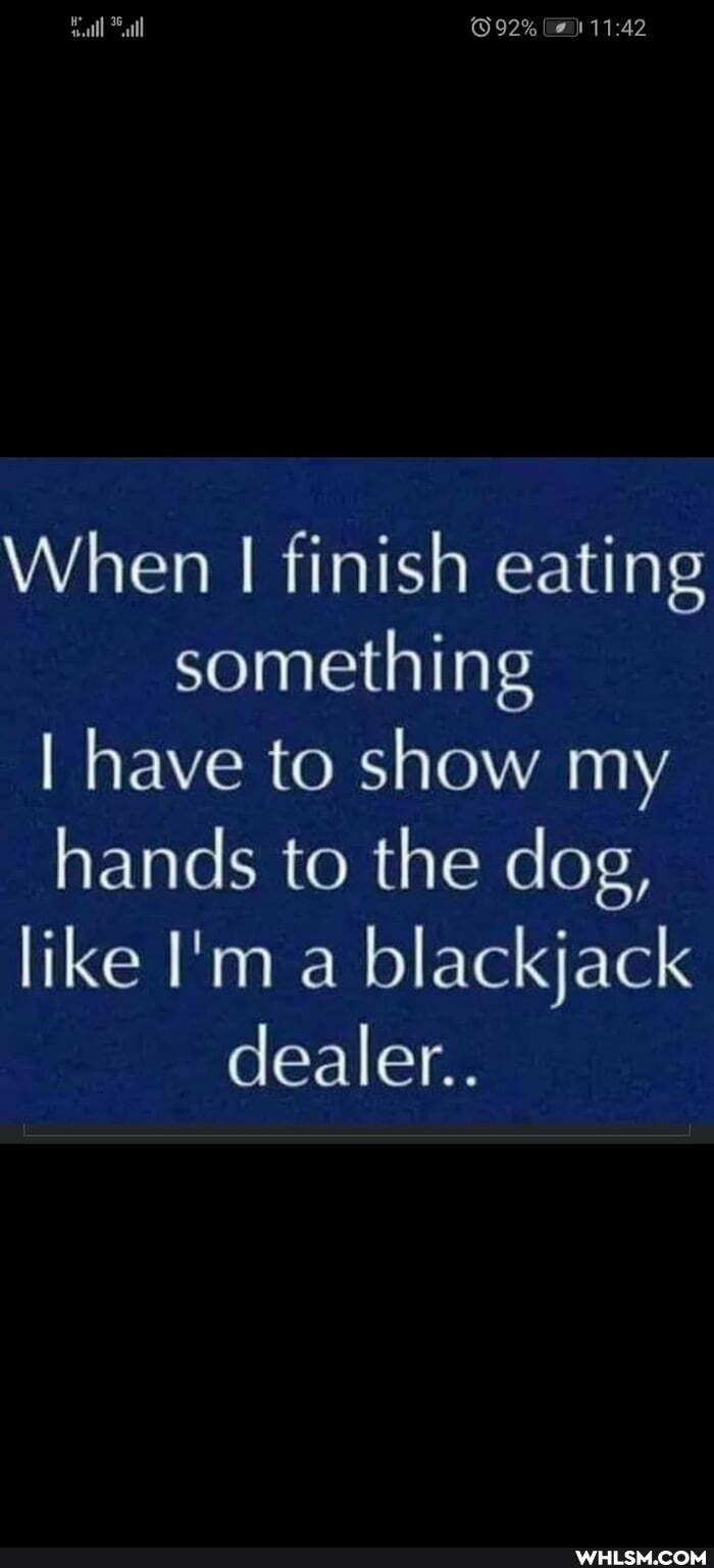 When finish eating something
I have to show my hands to the dog, like I'm a blackjack dealer..