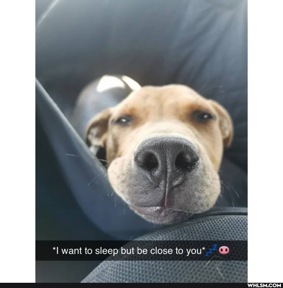 want to sleep but be close to you