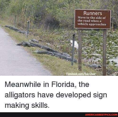 Runners
he side of
Meanwhile in Florida, the alligators have developed sign