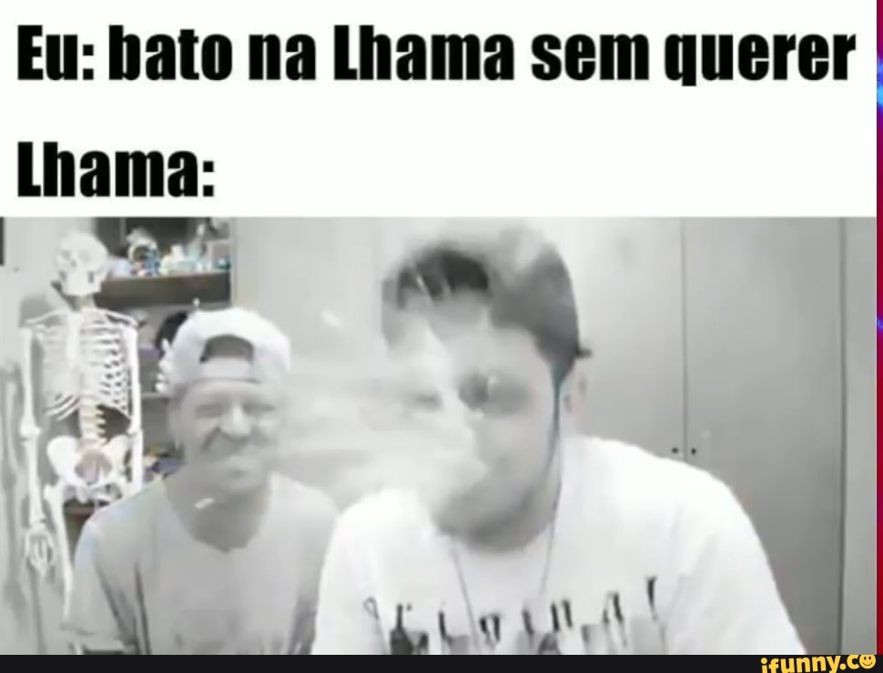 Eu: bato na Lhama sem querer I Lhama:
ar