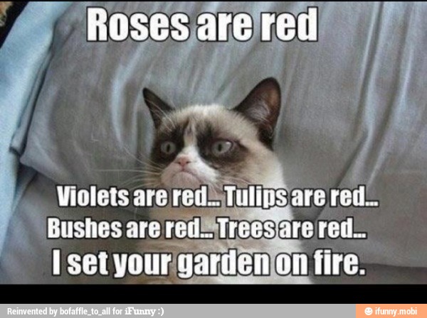 4
I
Violets are
red=Tulins are red. Bushes are rede Treesjare red.