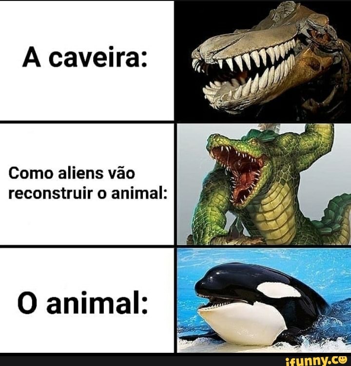 A caveira:
Como aliens vão reconstruir o animal:
Es
O animal: