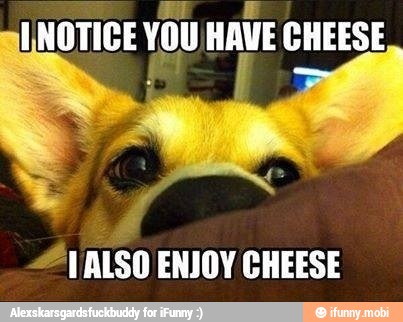 CHEESE
241180 ENJOY
