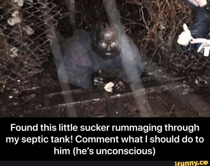 Found this little sucker rummaging through
my septic tank! Comment what I should do to
him (he's unconscious) - Found this little sucker rummaging through my septic tank! Comment what I should do to him (he’s unconscious)