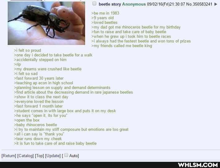>be me in 1983,
>9 years old
>loved beetles
>my dad got me rhinoceros beetle for my birthday
>fun to raise and take care of baby beetle
>when he grew up i took him to beetle races
>i always had the fastest beetle and won tons of prizes
>my friends called me beetle king
>i felt so proud
>one day i decided to take beetle for a walk
>accidentally stepped on him
>rip
>my dreams were crushed like beetle
>i felt so sad
>fast forward 30 years later
>teaching ap econ in high school
>planning lesson on supply and demand determinants
>find article about the decreasing demand in rare japanese beetles
>show it to class the next day
>everyone loved the lesson
>fast forward 1 month later
>student comes in with large box and puts it on my desk
>he says "open it, its for you'
>open the box
>baby rhinoceros beetle
>i try to maintain my stiff composure but emotions are too great
>all i can say is "thank you"
>tear nuns down my cheek
>it is fun to take care of and raise baby beetle
beetle story Anonymous No. 350583241