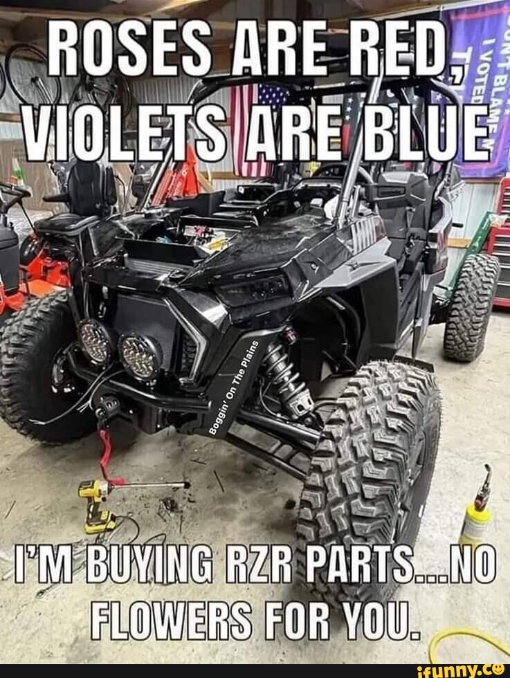 ROSES ARE RED; VIOLETS ARE BLUE BUVING RZR PARTS...1N0 FLOWERS FOR YOU