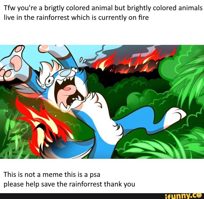 wa you're a brigtly colored animal but brightly colored animals
live in the rainforrest which is currently on fire
This is not a meme this is a psa
please help save the rainforrest thank you