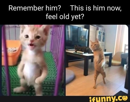 Remember him? This is him now, feel old yet? - iFunny