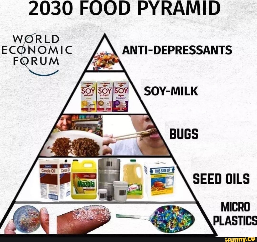 2030 FOOD PYRAMID DEPRESSANTS WORLD ECQNOMIC FQRUM AN - iFunny