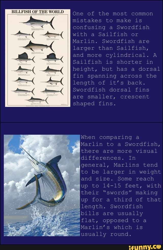 Swordfish memes. Best Collection of funny Swordfish pictures on iFunny