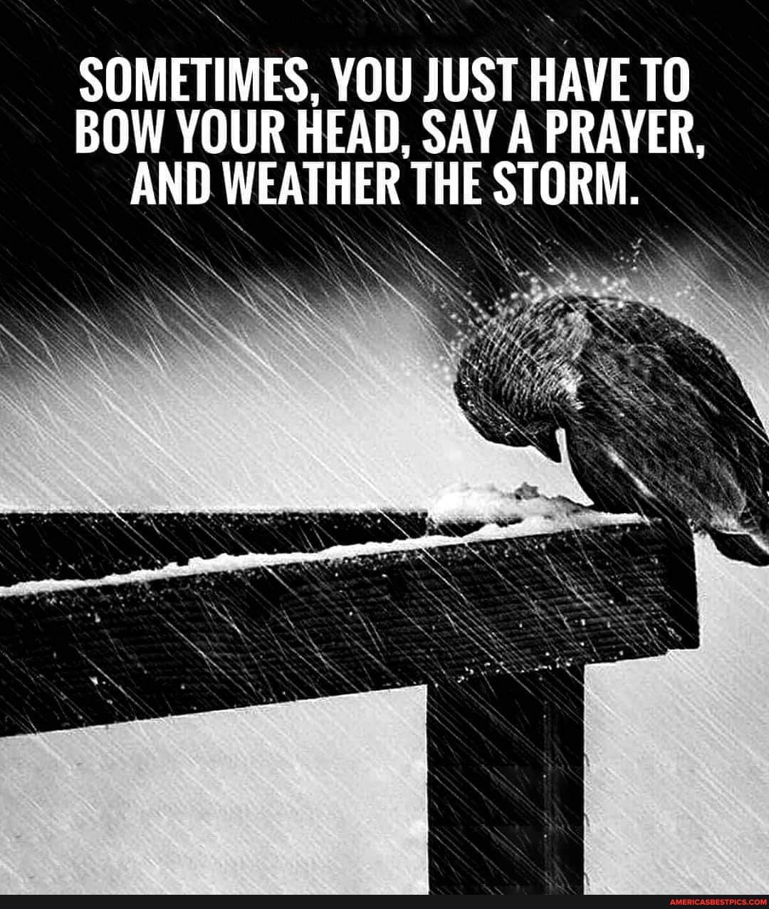 SOMETIMES, YOU JUST HAVE TO BOW YOUR HEAD, SAY A PRAYER, AND WEATHER