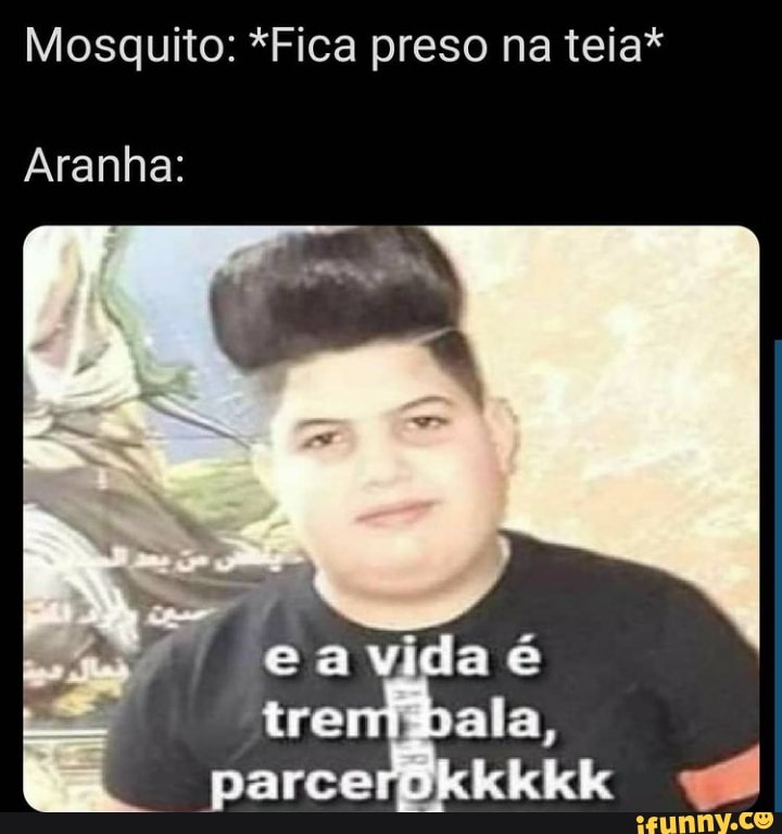 Mosquito: *Fica preso na teia*
Aranha:
-s ) gia é
trem