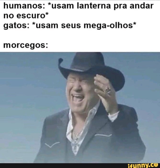 humanos: *usam lanterna pra andar no escuro* gatos: *usam seus mega-olhos*
morcegos: