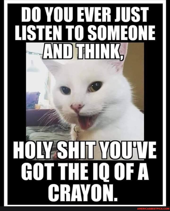 DO YOU EVER JUST LISTEN TO SOMEONE AND THINK,
HOLY SHIT YOU'VE GOT THE IQ OF CRAYON.