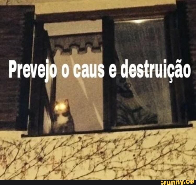 comedia, bolsonaroliberarinhasdegalo, naruto, whatsapp, copa, anime, politica, acaba