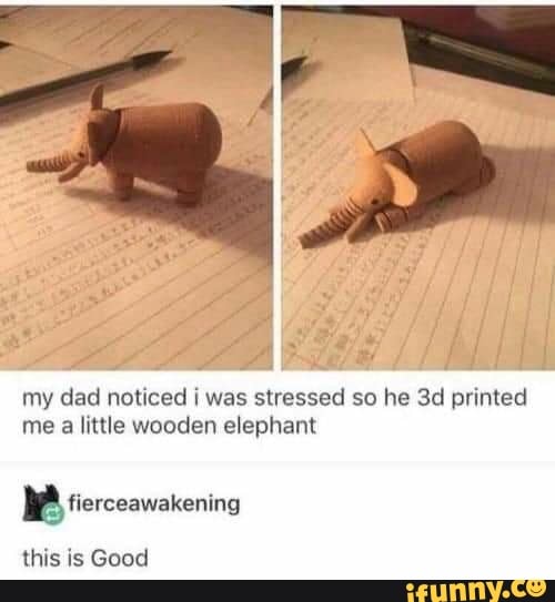my dad noticed was stressed so he Sd printed me a little wooden elephant
fierceawakening
this is Good