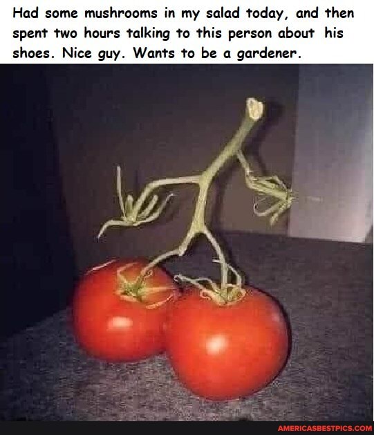 Had some mushrooms in my salad today, and then spent two hours talking to this person about his shoes. Nice guy. Wants to be a gardener.