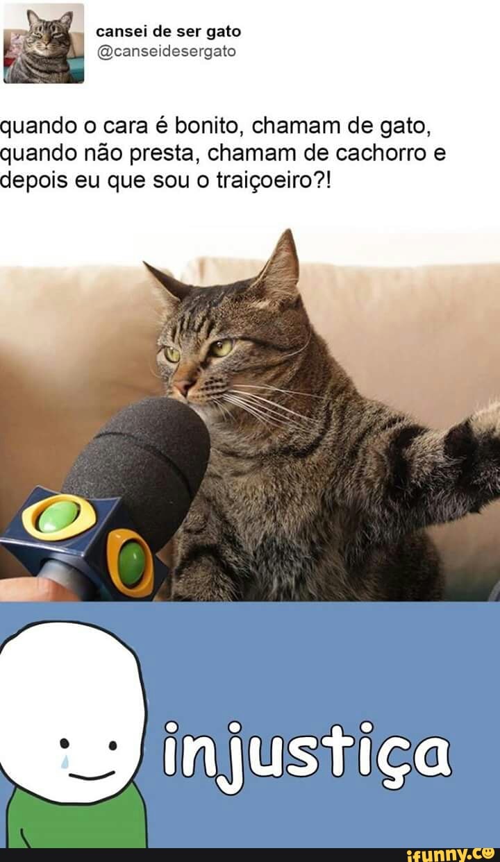quando o cara é bonito, chamam de gato,
quando nao presta, chamam de cachorro e
depois eu que sou o traiçoeiro?!
injustiça