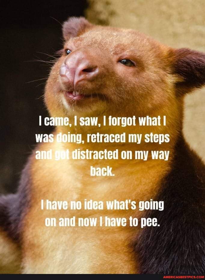 😊 From the page of Lighten up already - came, I saw, forgot what was ...