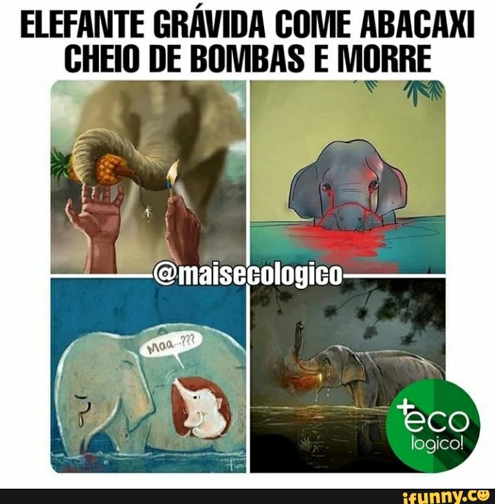 ELEFANTE GRÁVIDA COME ABACAXI CHEIO DE BOMBAS E MORRE