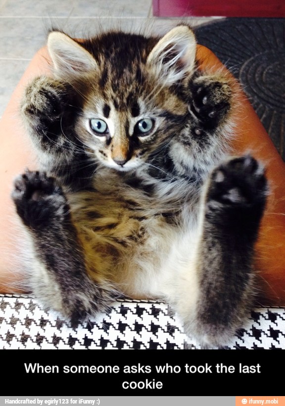 When someone asks who took the last
cookie - When someone asks who took the last cookie