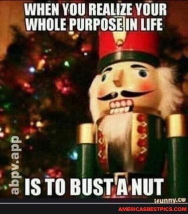 WHEN YOU REALIZE YOUR WHOLE LIFE
ISTO BUSTA NUT