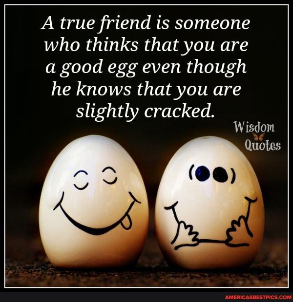 A true friend is someone who thinks that you are a good egg even though he knows that you are slightly cracked.
Wisdom
Quotes
(OO)