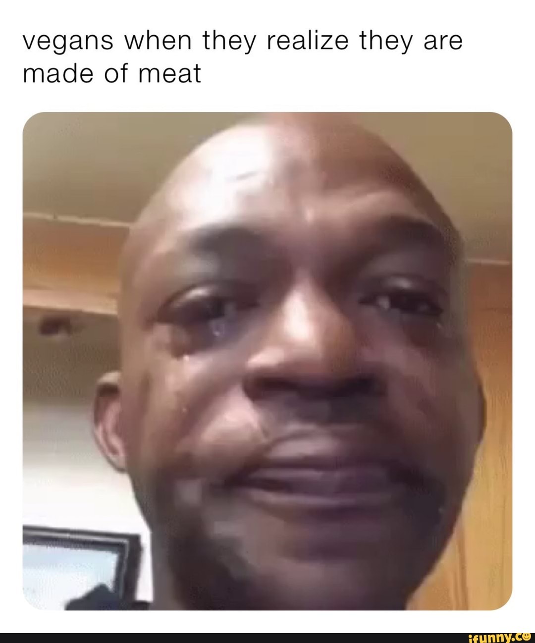 vegans when they realize they are made of meat