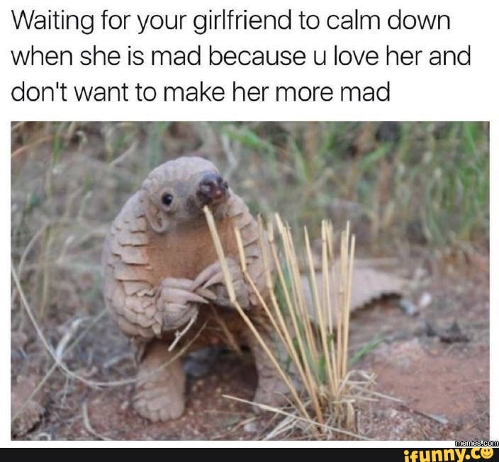 Waiting for your girlfriend to calm down when she is mad because u love her and don't want to make her more mad
ak