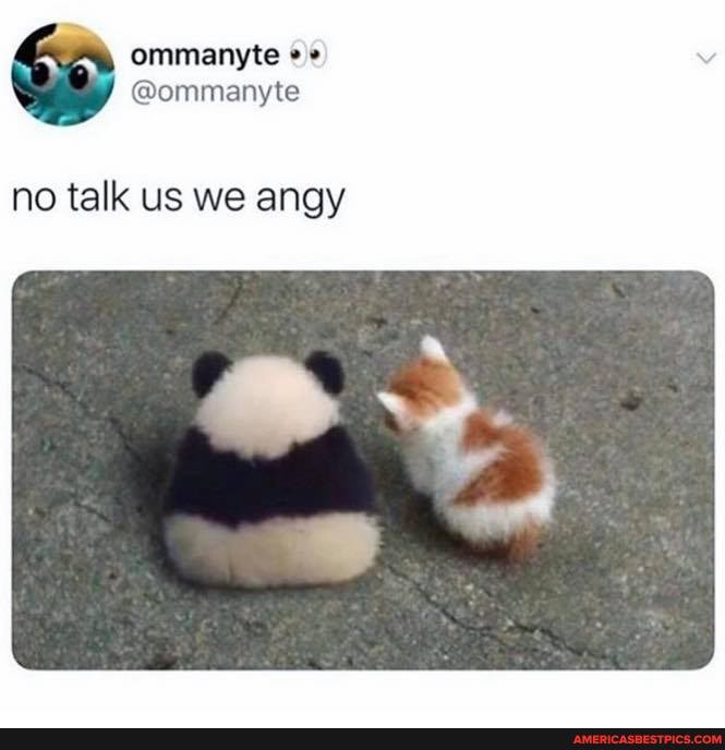 Se) ommanyke v
no talk us we angy