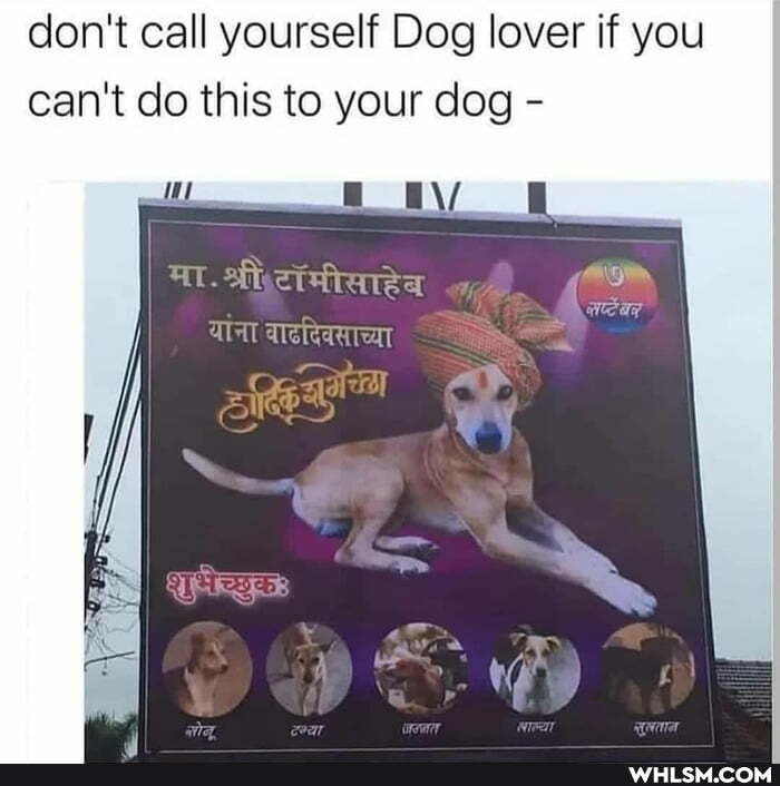 don't call yourself Dog lover if you can't do this to your dog -
AT. afet Hraea
aT aretearareat