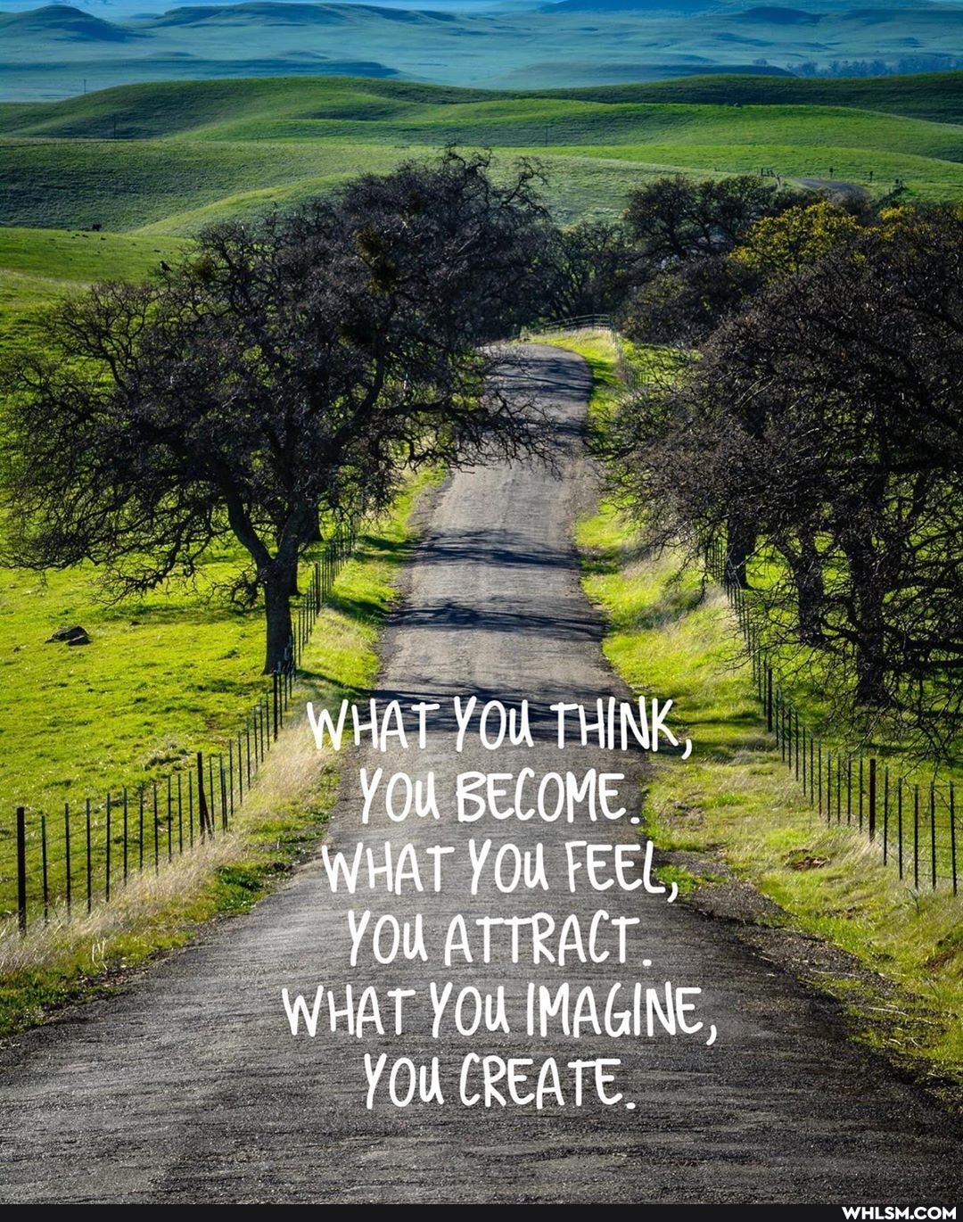 WHAT YOU THINK,
YOU BECOME.
WHAT YOU FEEL,
YOU ATTRACT.
WHAT YOU [MAGINE,
YOU CREATE.