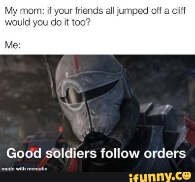 My mom: if your friends all jumped off a cliff would you do it too?
Me:
SA of
Good soldiers follow orders
with