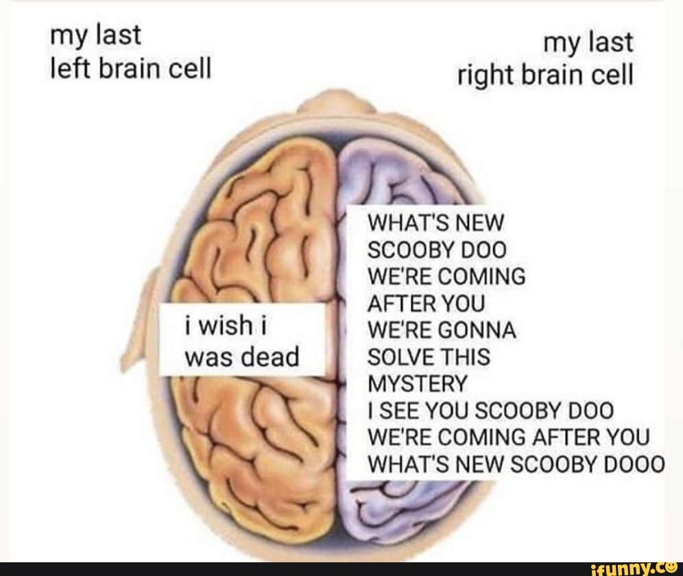 Last my last left brain cell right brain cell Om WHAT'S NEW SCOOBY DOO ...