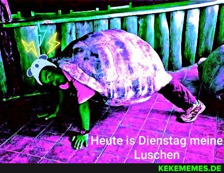 "Heute 15 Dienstag meine