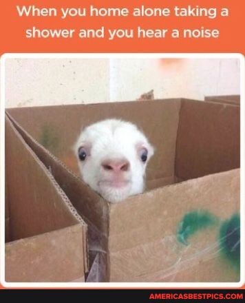 When you home alone taking a shower and you hear a noise