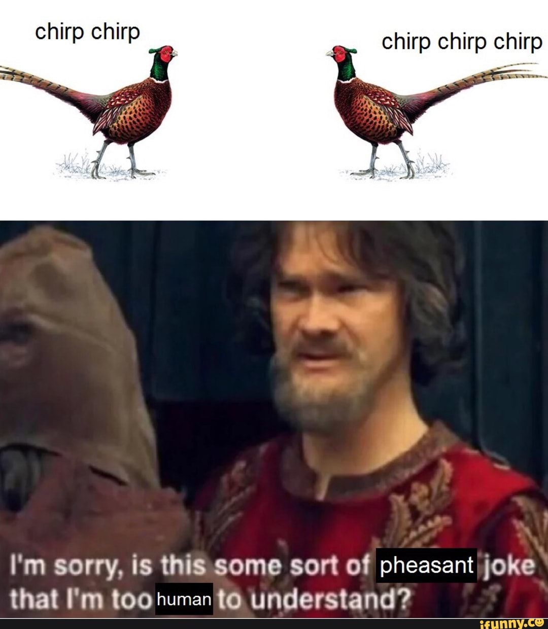 I'm sorry, is this some sort of pheasant joke that I'm ...