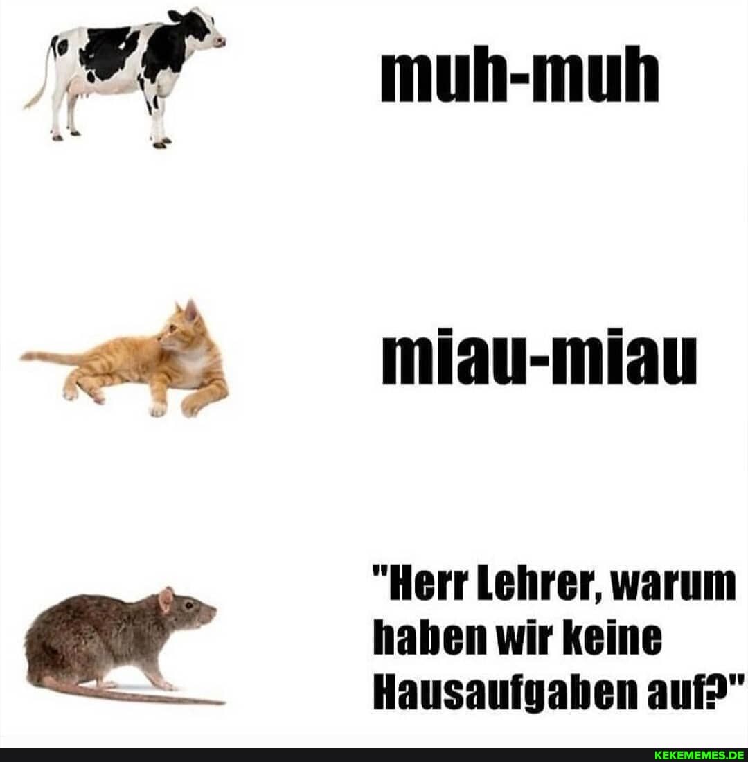 "Herr Lehrer, warum haben wir keine
Hausaufgaben auf?"