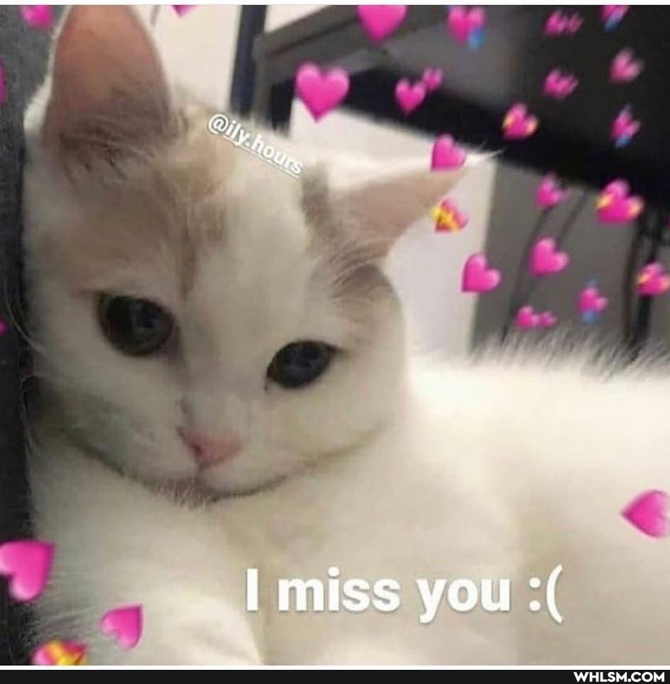 "ty. hoy
miss you