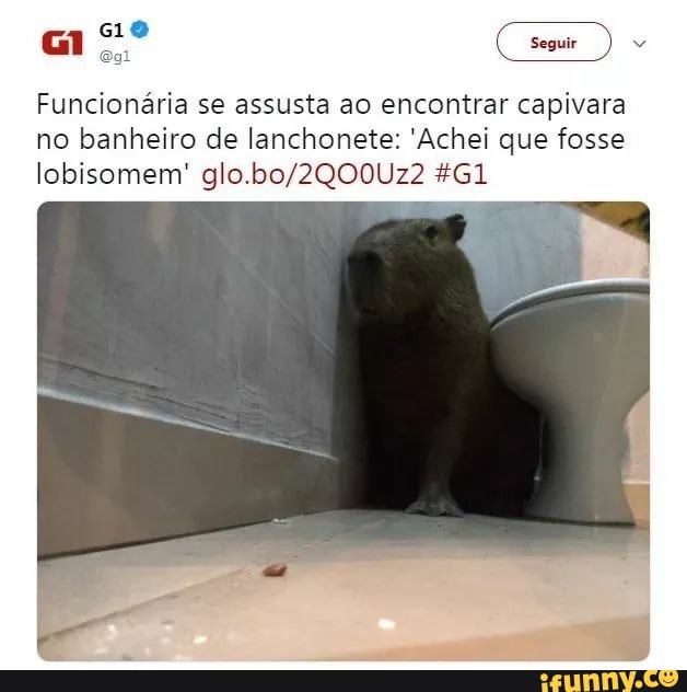 as
Funcionária se assusta ao encontrar capivara
no banheiro de lanchonete: 'Achei que fosse