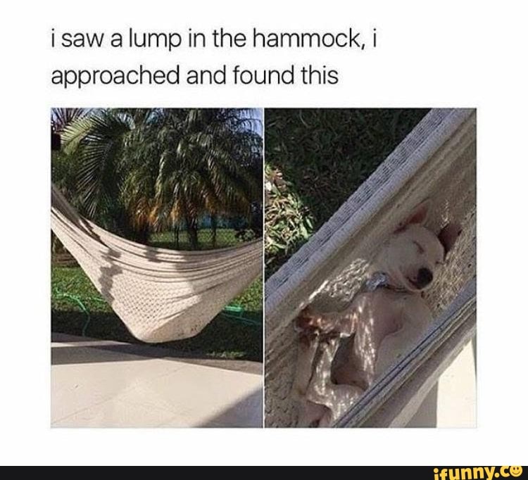 i saw a lump in the hammock, i
approached and found this