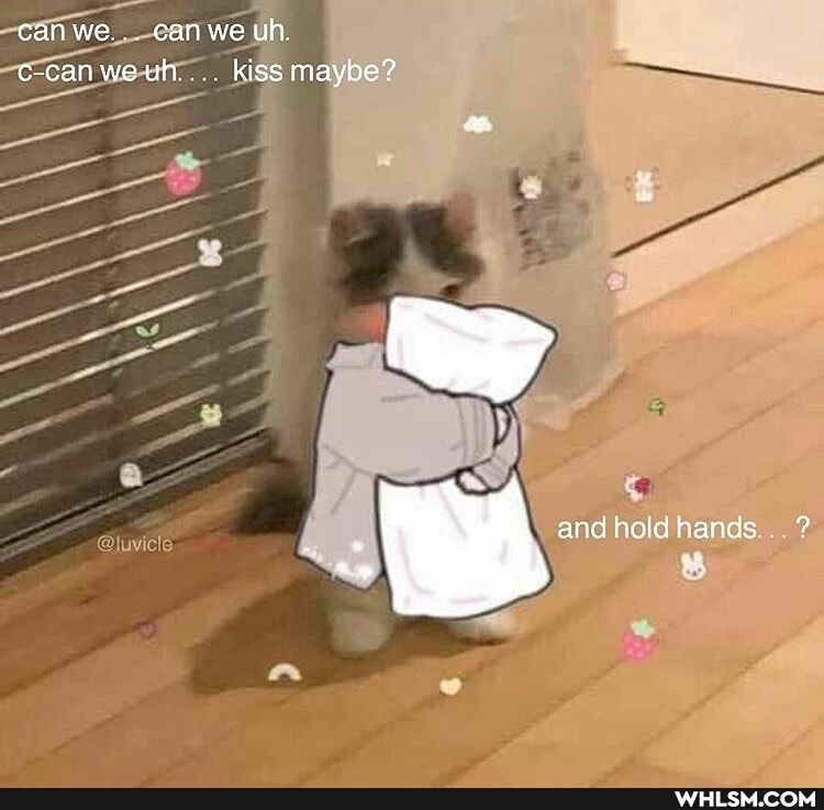 can we... can we uh c-can we uh.... kiss maybe?
and hold hands ?