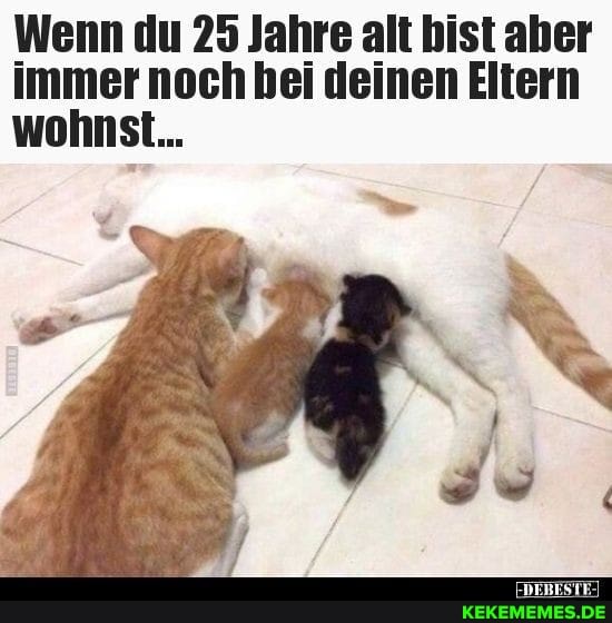 Wenn du 25 Jahre alt bist aber immer noch deinen Eltern wohnst...