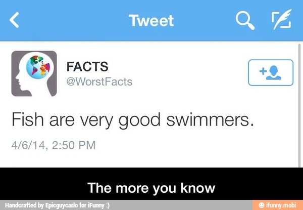 Fish are very good swimmers.
The more you know - The more you know