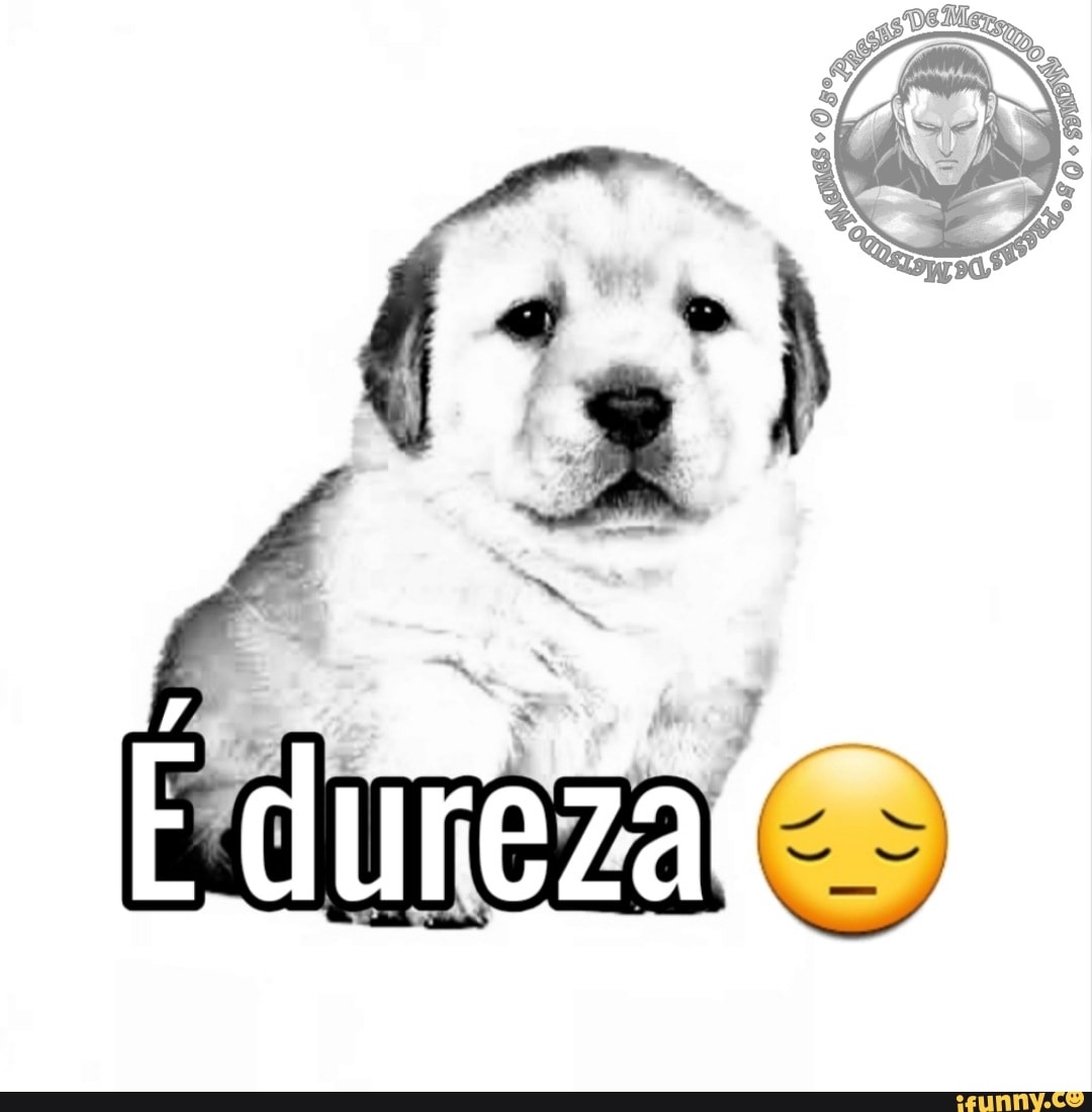 cachorro, ehmolekk, sad